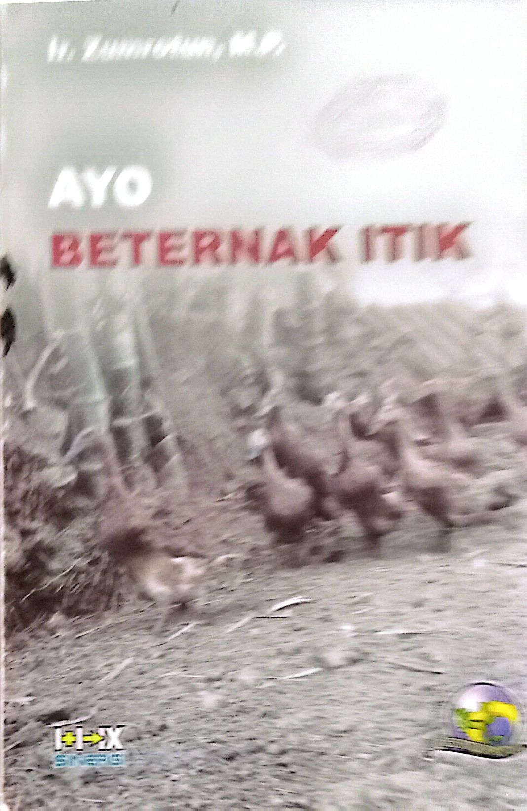 Ayo Beternak Itik